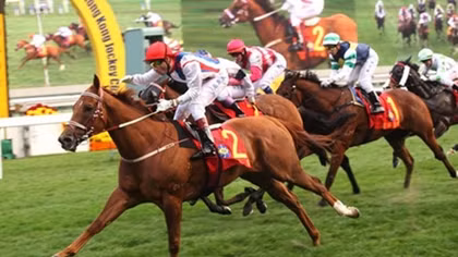 New 70-ha racecourse opens in Lam Dong