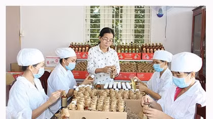 Le Nguyen, a passionate for dragon fruit products