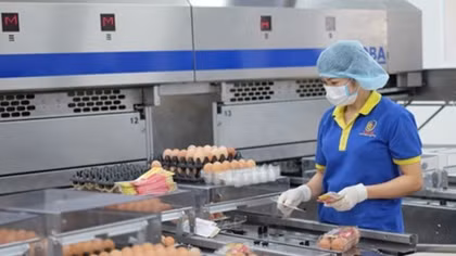 More opportunities for poultry export to Japan