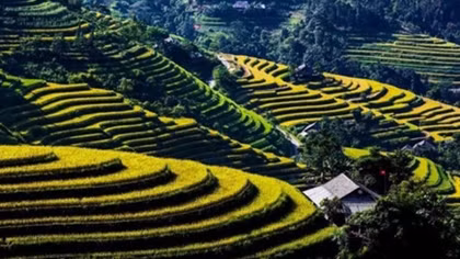 Vietnam’s tourism sector works to attract more foreign tourists