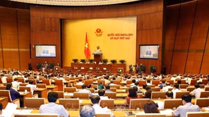 NA deputies scrutinise Labour Law