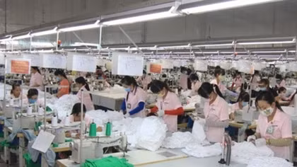 Over 96,600 new firms established in nine months