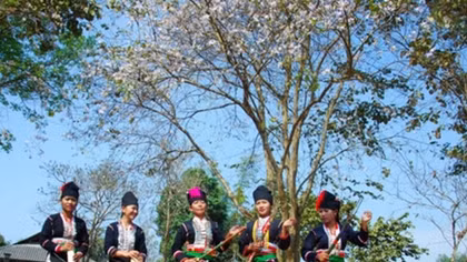 Northwestern culture to be featured at 6th Ban Flower Festival