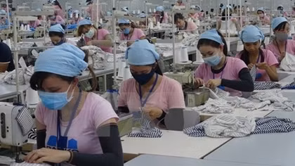 Deputy PM urges Indian businesses to invest more in Vietnam