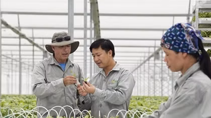 Hi-tech farms offer a vision of the future, today
