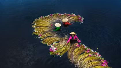 Stunning images of Vietnam from above make int’l photo awards