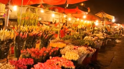 Hanoi flower market among top spots for Lunar New Year celebrations: CNN