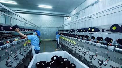 Workshop looks into promotion of circular economy
