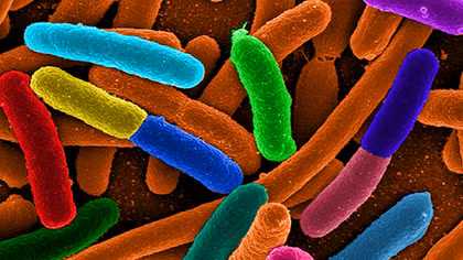 Russian, European Scientists Pave Way for Making Next Generation Antibiotics