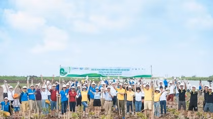 GM Vietnam joins hands in protecting mangroves 