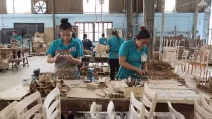 Binh Duong, Dong Nai expect higher growth in wood products with CPTPP