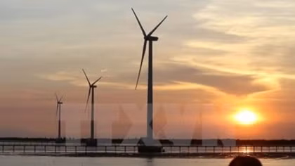 Foreign investors interested in Vietnam’s wind power projects