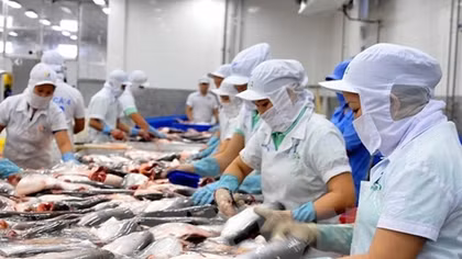 US anti-dumping duties on Vietnam's frozen fish lacks legal basis
