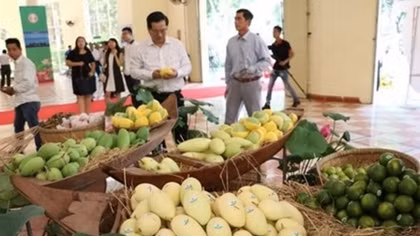 EU enhances inspections on Vietnam’s agricultural products from Sept 1