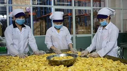 Agricultural sector urged to devise concrete strategies to utilize RCEP