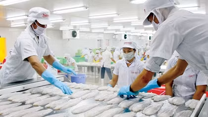 Exports of tra fish earns 438 million USD in three months