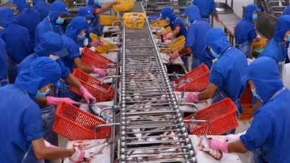 Vietnam’s seafood exports to ASEAN expected to reach US$1 billion soon