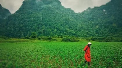 Quang Binh to introduce local images to Hollywood
