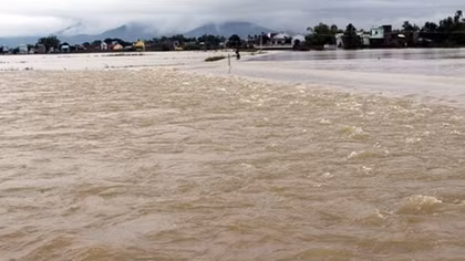Binh Dinh hard hit by flood