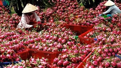 Farm produce face hurdles to make inroads into EU