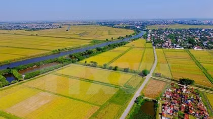 Workshop discusses Belgian support for Vietnam’s agriculture