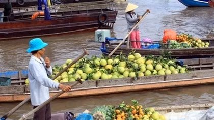 Mekong Delta International Ag Festival kicks-off with presser
