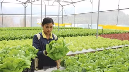 Fruits, vegetables export reach US$3.16 billion in 11 months