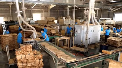 Agro-forestry-fishery exports fetch 12.4 billion USD in four months