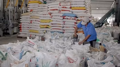 Philippines to import 293,100 tons of Vietnam rice