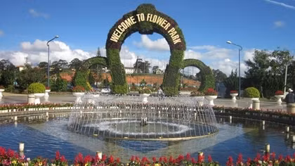 Da Lat to hold first cherry blossom festival