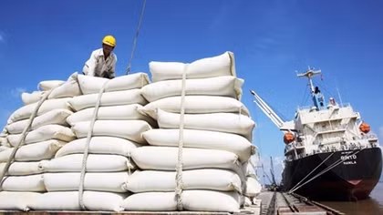 Proper trademark strategy in need to boost rice exports to UK