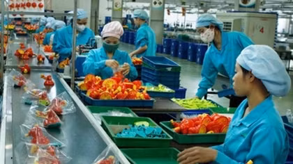 Newly-established enterprises up in 2018