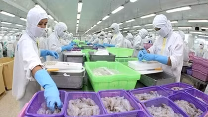 10-month export turnover hits US$144 billion