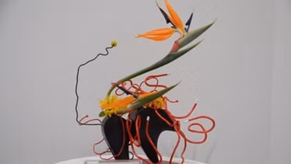 Vietnam attends Ikebana exhibition in Japan for first time