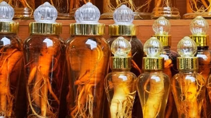 Vietnam among biggest importers of Korean ginseng