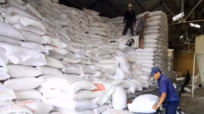 Philippines to import 250,000 tonnes of rice from Vietnam or Thailand