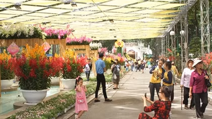 Orchid Festival 2019 opens in HCMC 