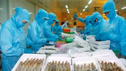 Vietnam becomes fourth largest seafood supplier to Japan