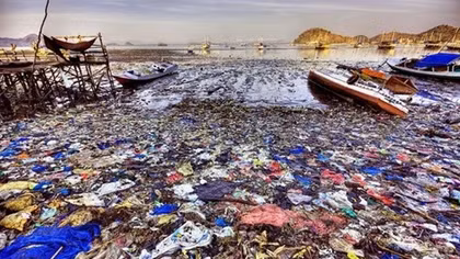 "Ocean rescue initiative" contest launched 