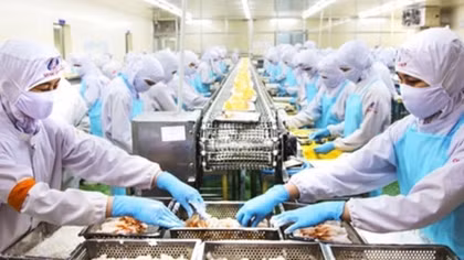 Vietnam eyes business opportunities in UAE
