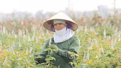 Capital wants more high-tech farms