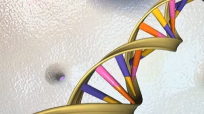 How artificial life spawned a billion-dollar industry