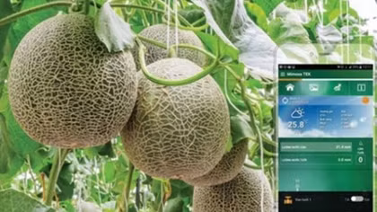 Vietnam moves towards high-tech agriculture