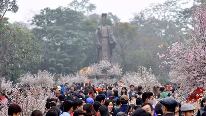 10,000 Japanese cherry blossom branches to be displayed in Hanoi 