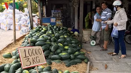 US-China trade war puts pressure on Vietnamese agricultural products