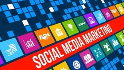 Which segments dominate Vietnam online marketing?