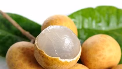Vietnam Airlines to serve passengers Hung Yen Longan on board 