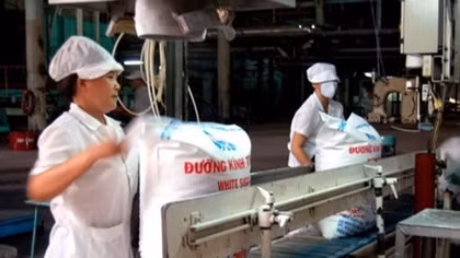 Sugar industry sees bitter side of ATIGA’s impacts