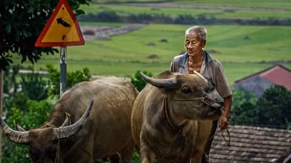 Vietnam aims to double farmers’ income by 2020 in ambitious plan