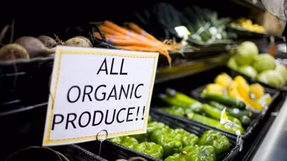 Vietnam strives to increase organic agricultural produce exports